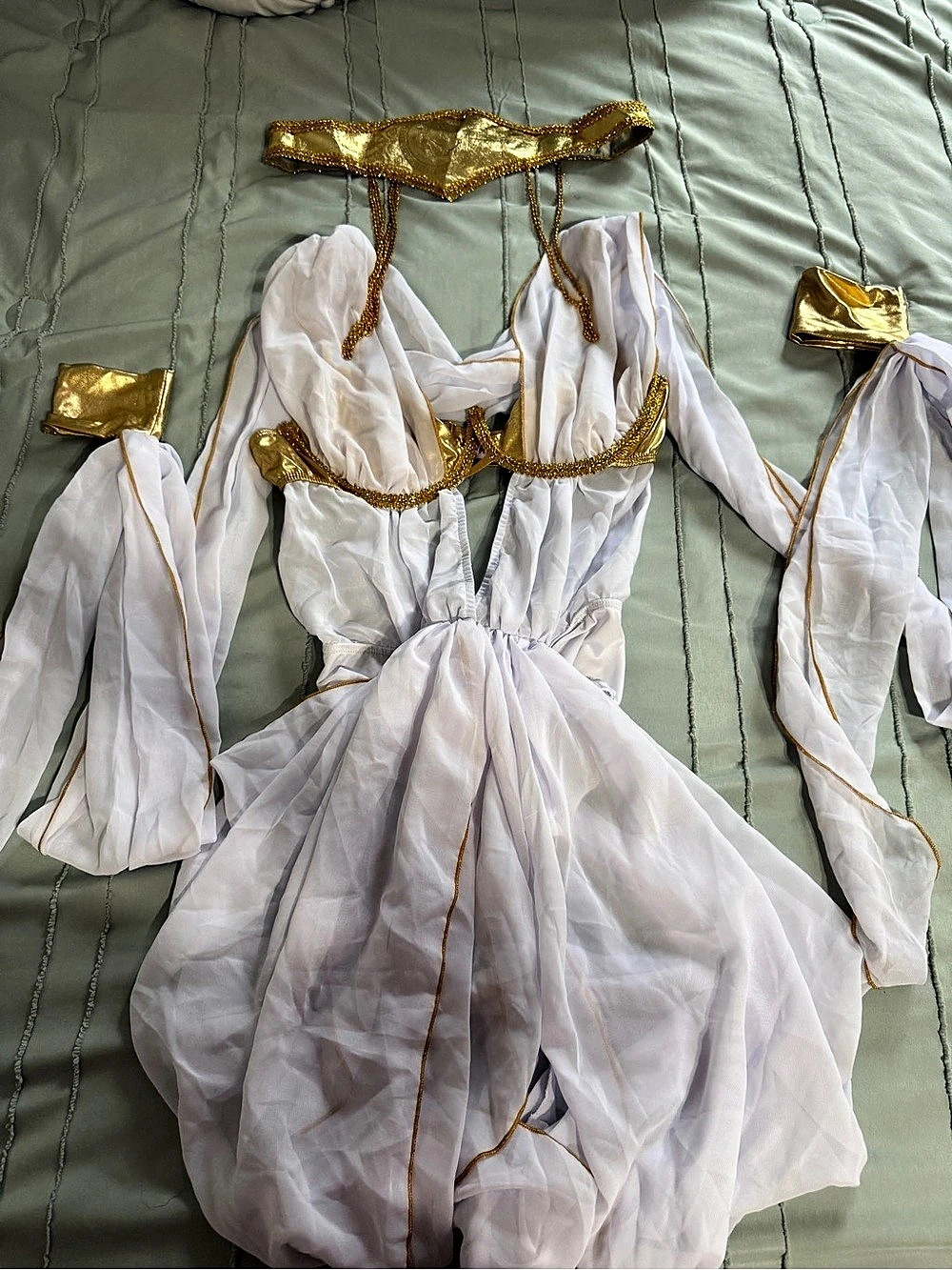 White & Gold Sheer Costume